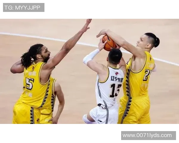 成都排球队团队协作引发热议球迷对战术配合的看法各异