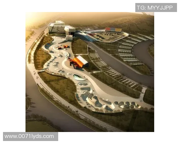 广州极限运动队在极限运动联赛中的团队协作表现分析与点评